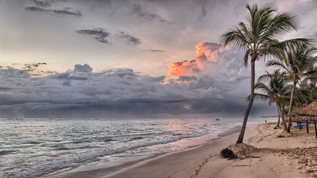 A beach with palm trees and dramatic sky in the background